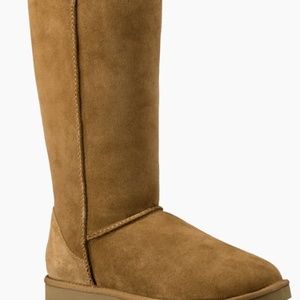 Tall Chestnut UGG boots